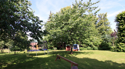 M&ouml;wen an der Hohwachter Bucht